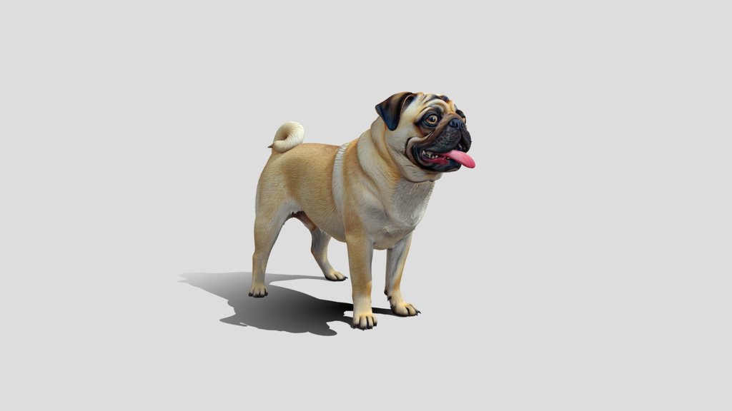 Happy Pug 3D Model Free