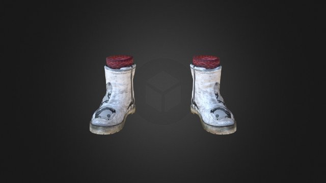 Snow Boots 3D Model