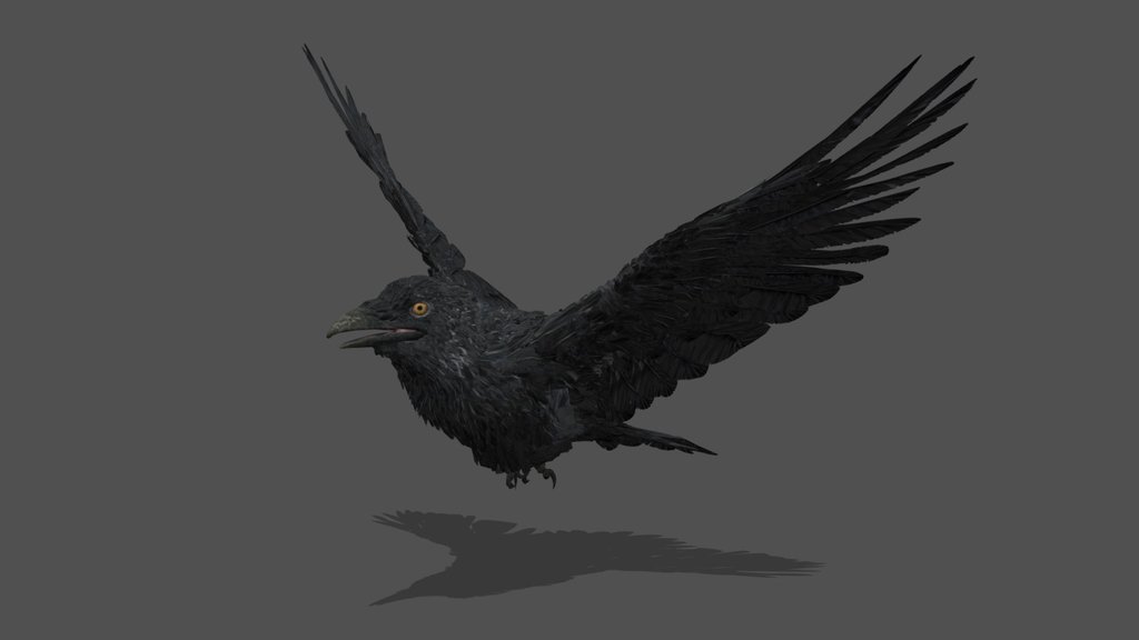 Animated Crow – 3D Animal Model