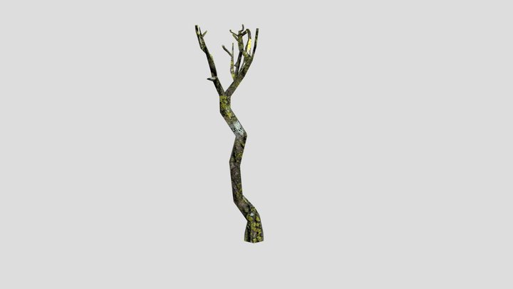 Tree 3D Model