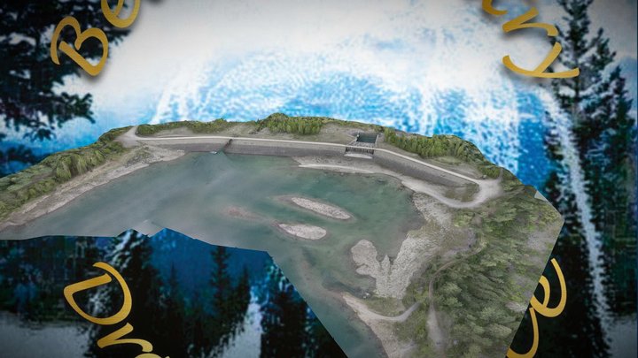 Mc Donald Lake Levy 3D Model
