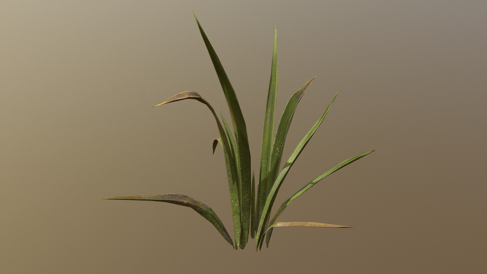 Grass Buy Royalty Free 3D model by Anežka Hájková (anezka) [6e67003
