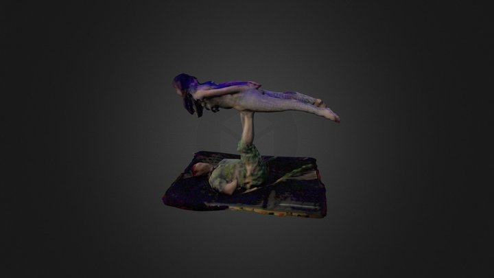 Bird Pose 3D Model