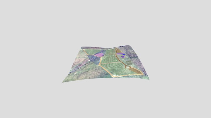 Grasscan 3d zx3 3D Model