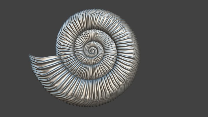 Dactylioceras athleticum (Simpson 1855) 3D Model