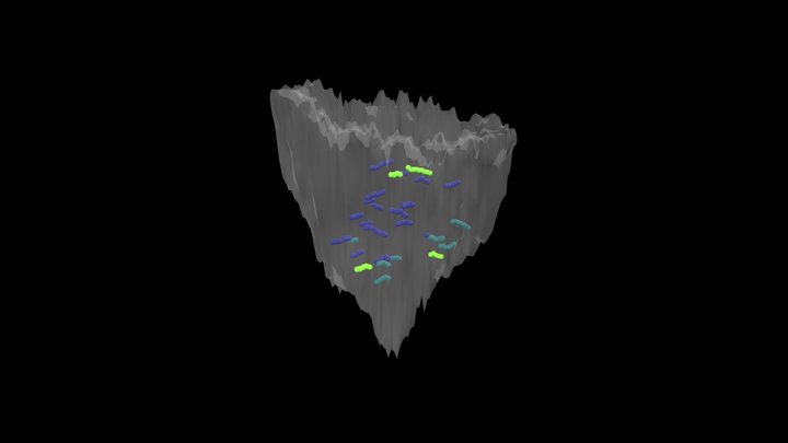 Parent Polyp #2 Caryophyllia huinayensis – Kostenloses 3D-Modell STL