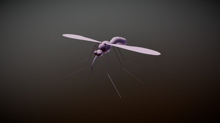 mosquito 3D Model