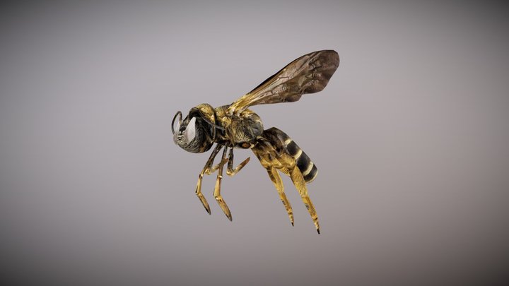 Bee from Photo 3D Model