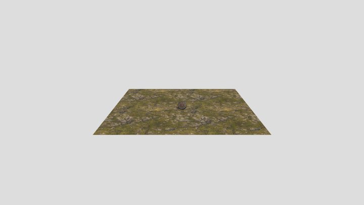 Medilevel Shield 3D Model