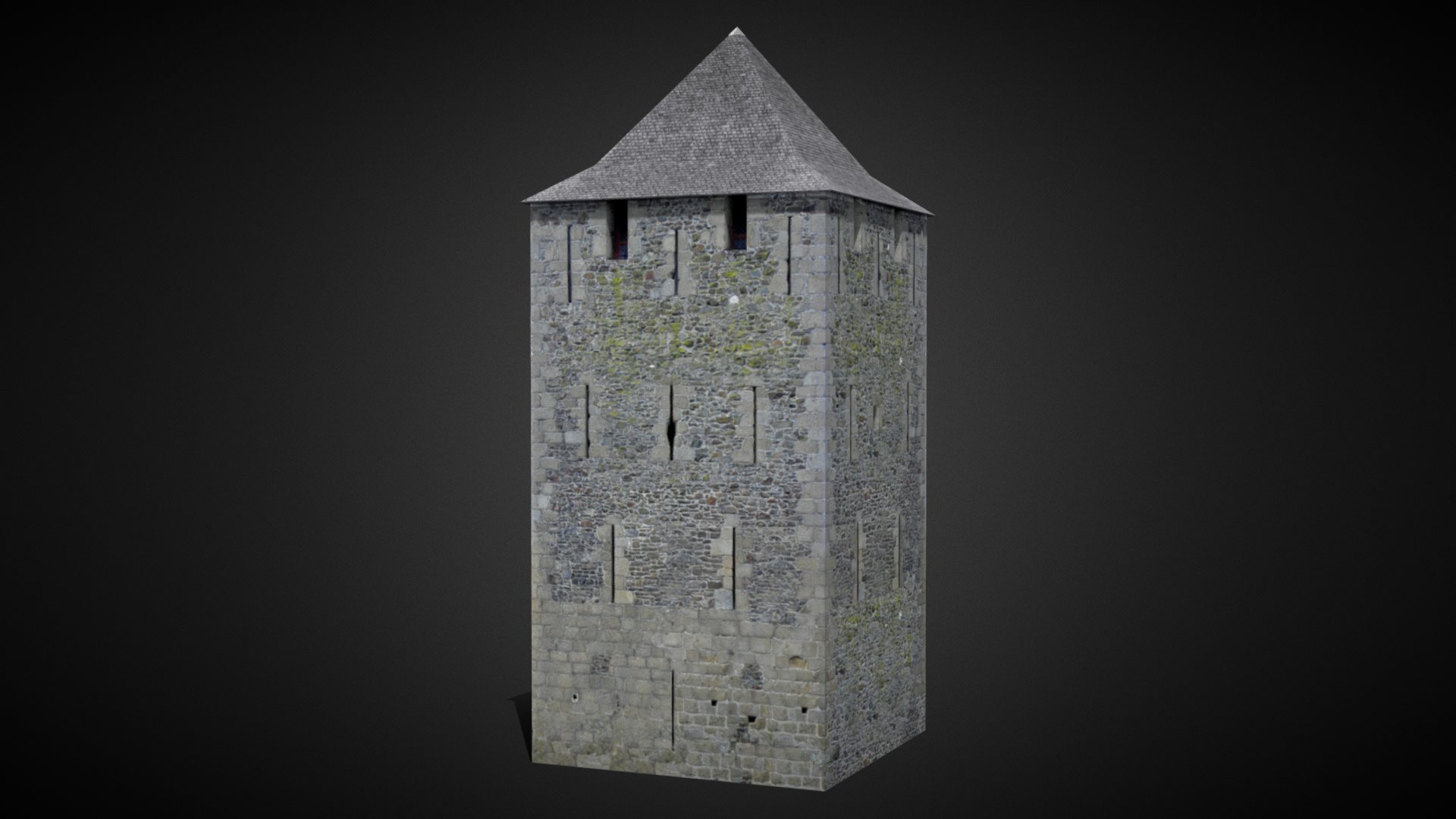 Fougères Square Tower [France]