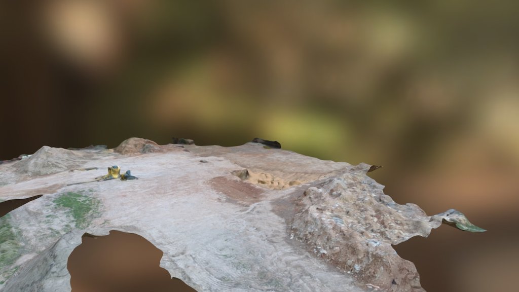 first Simplified 3d Mesh