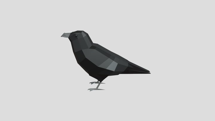Crow low poly 3D Model