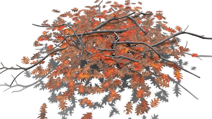 Realistic HD Red oak leaf litter (20/36) 3D Model