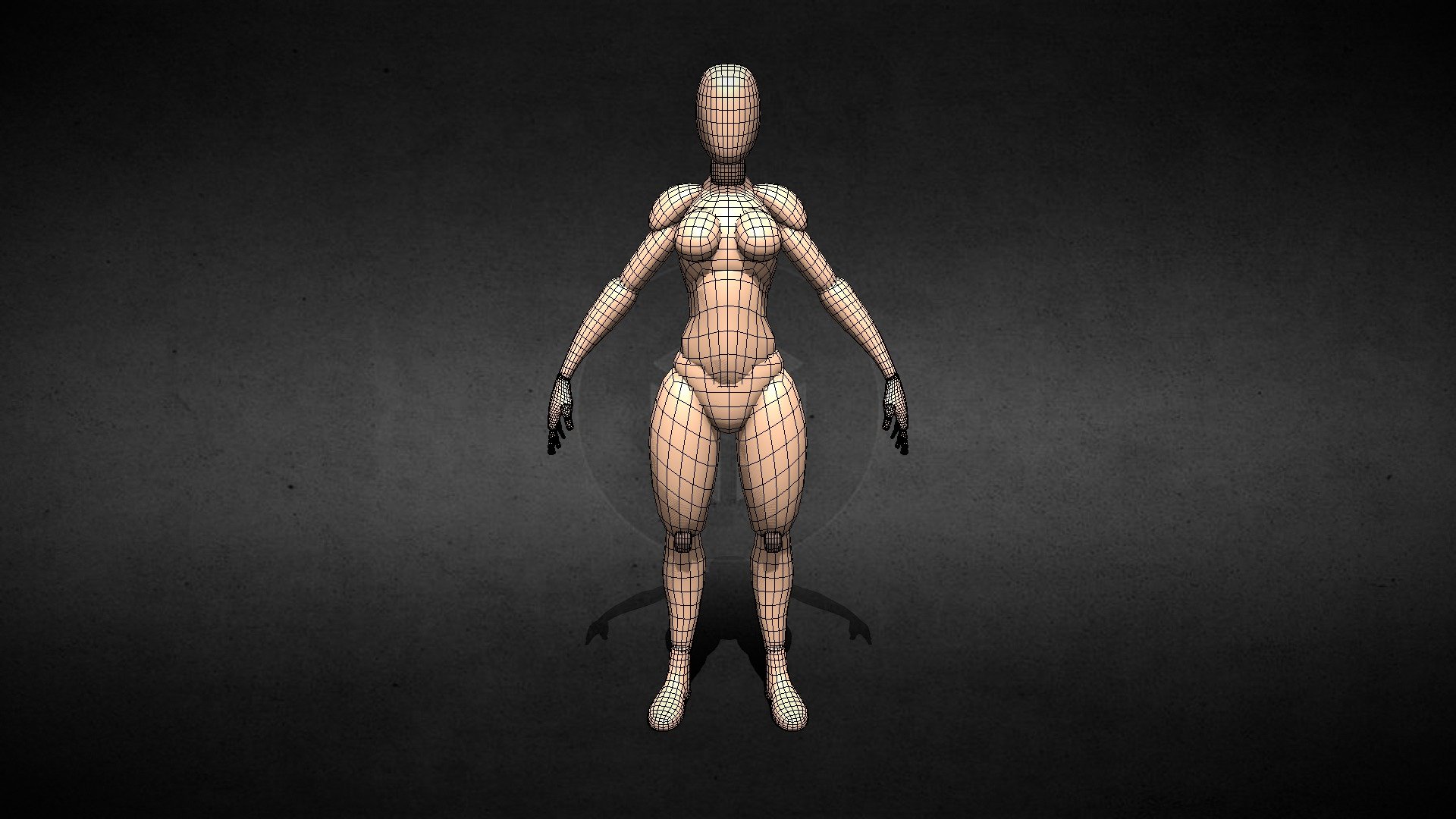 Base Mesh Female