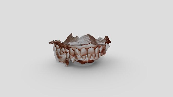 teeth 3D Model