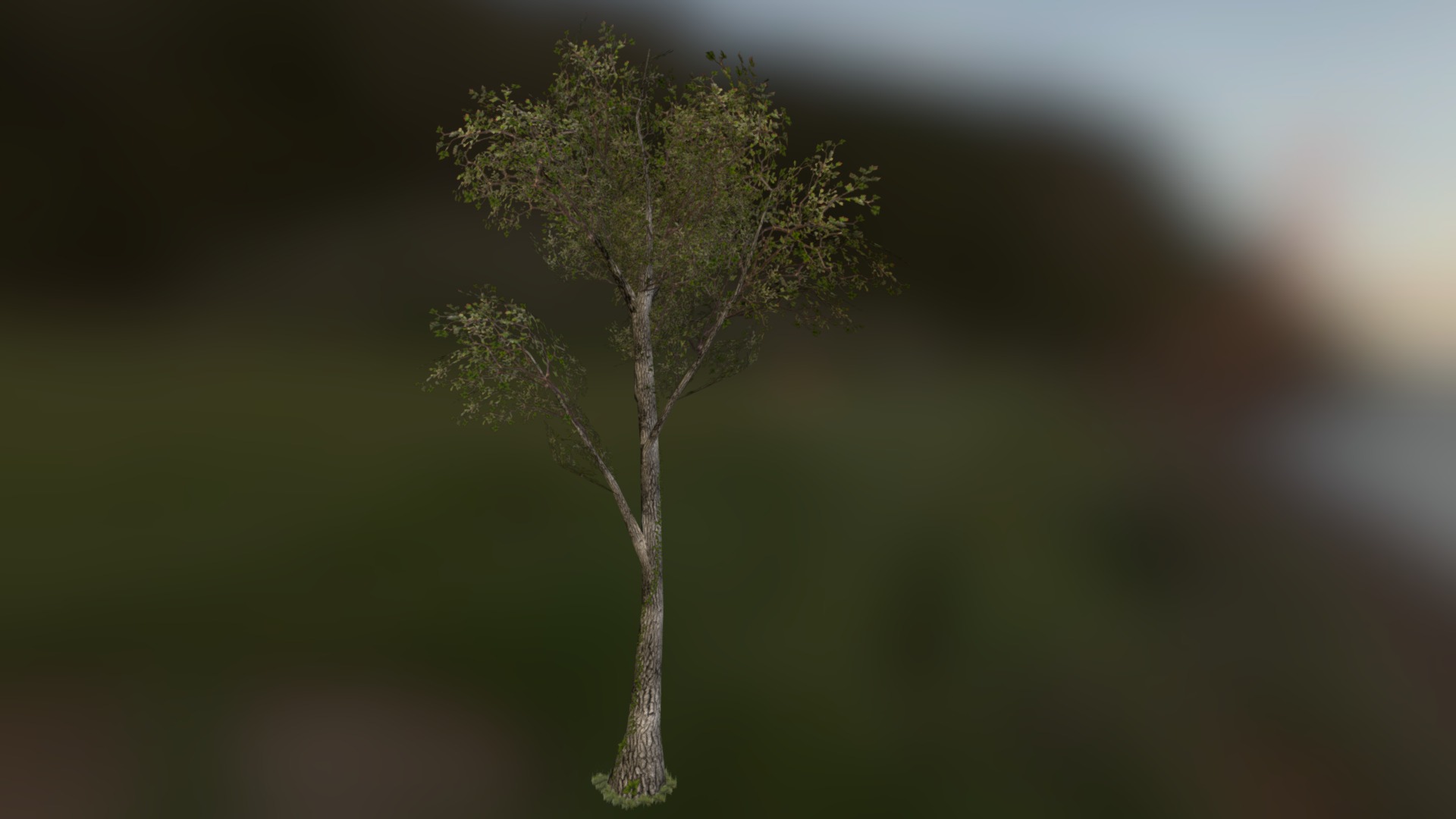 3D model Updated Low poly generic tree - This is a 3D model of the Updated Low poly generic tree. The 3D model is about a tree with a small branch.
