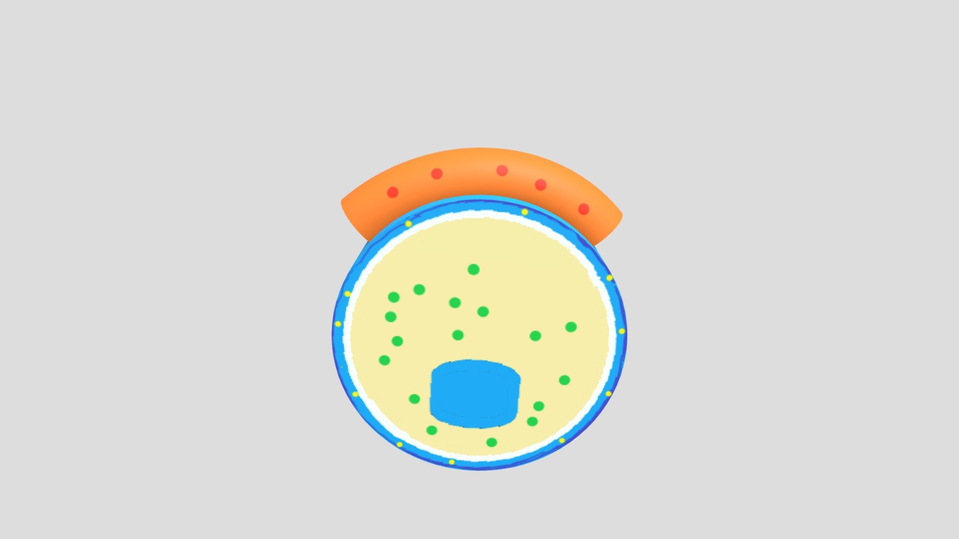 microughs_treponemapallidum_NA/OP/AF