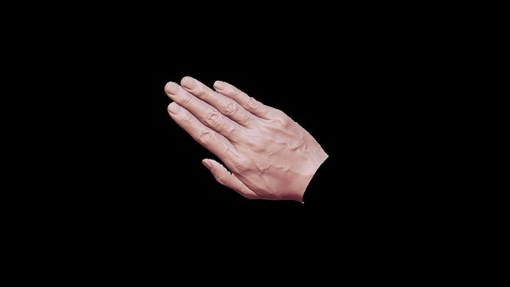 Men's Hand 3D Model