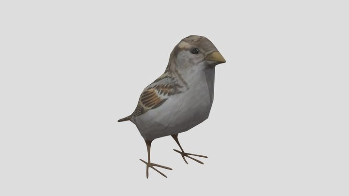 Sparrow (lowpoly) Gorrión 3D Model