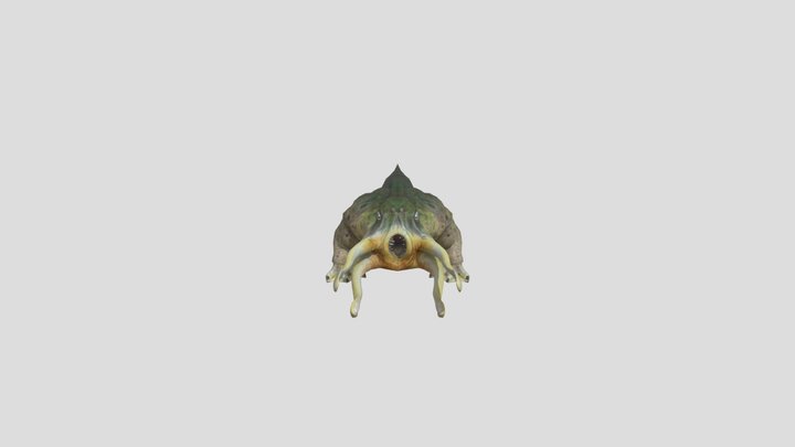 Sea Bullsquid – Modello 3D gratuito STL