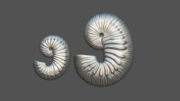 Scaphites geinitzii (d’Orbigny, 1850) 3D Model