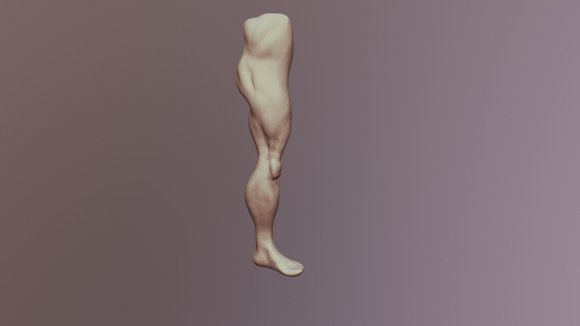 Jan15-limb - 3D model by farmermac [6e8a796] - Sketchfab