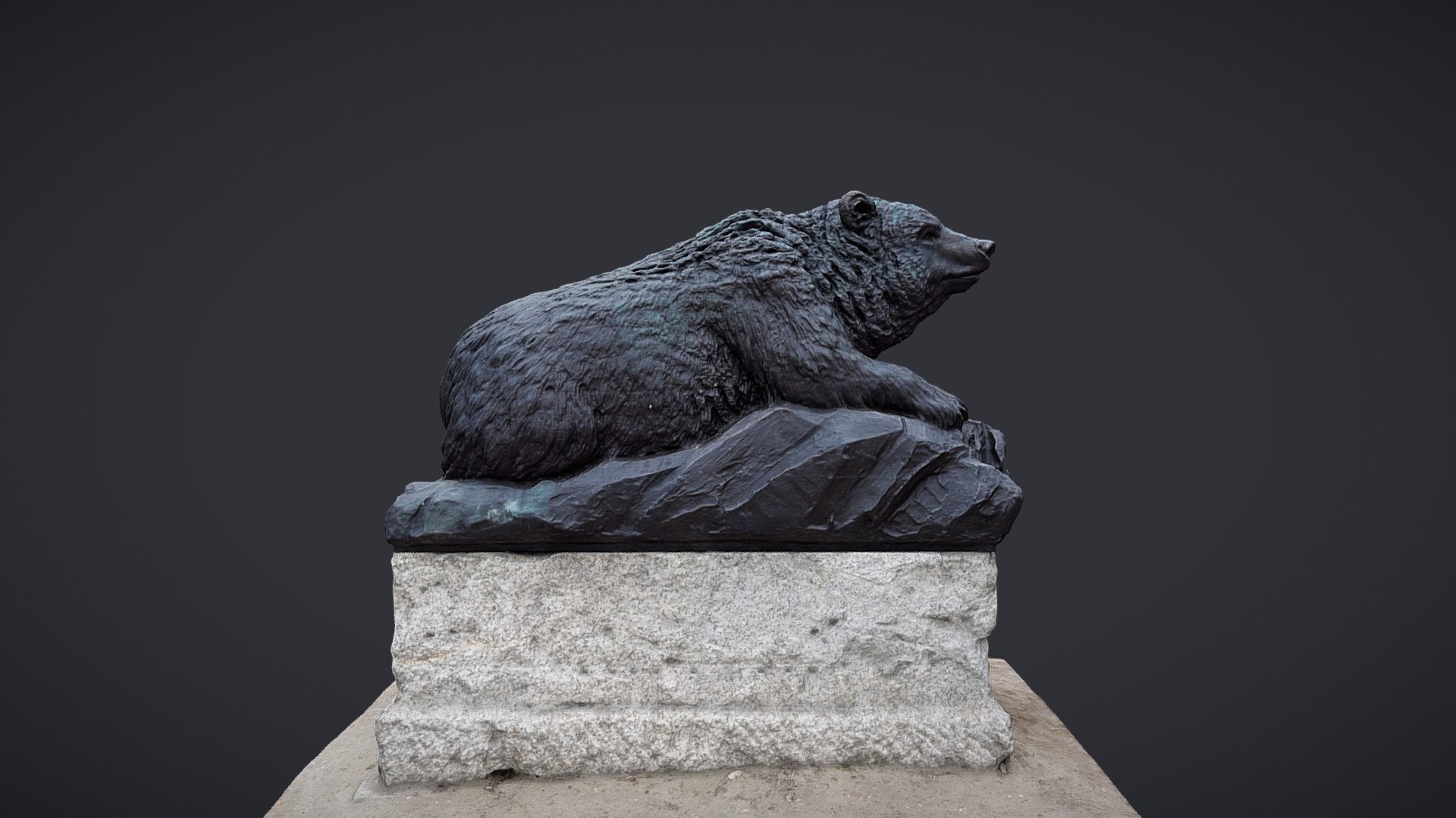 Bear