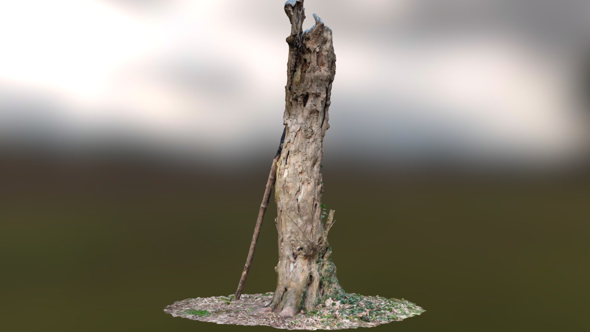 Thornborough Tree