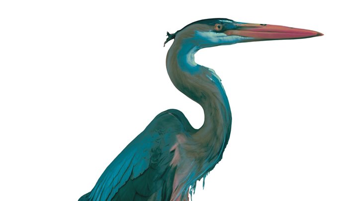 G_B_Heron 3D Model
