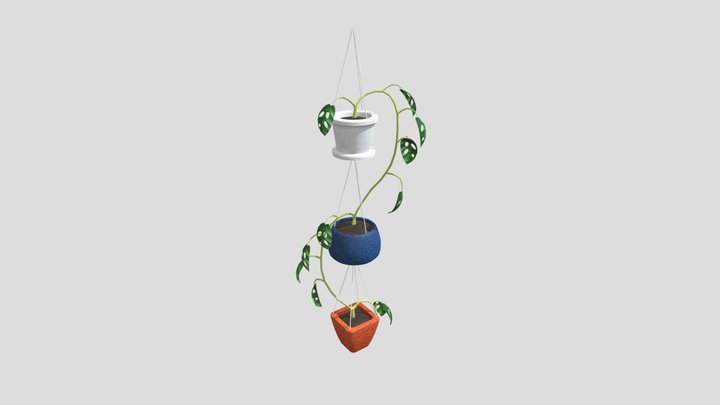 Three Tier Plant 3D Model