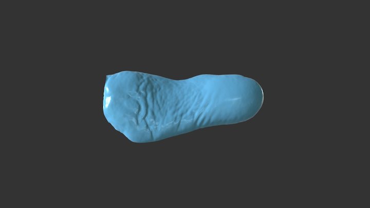 Artec Eva : foot sole 3D Model