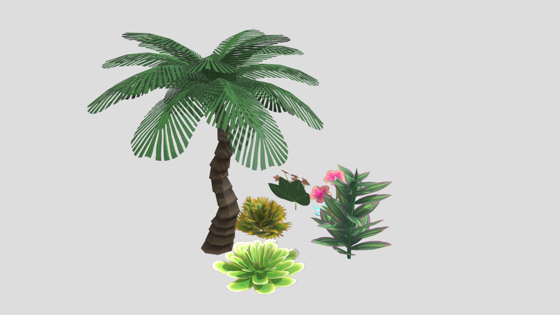 Plant And Organics