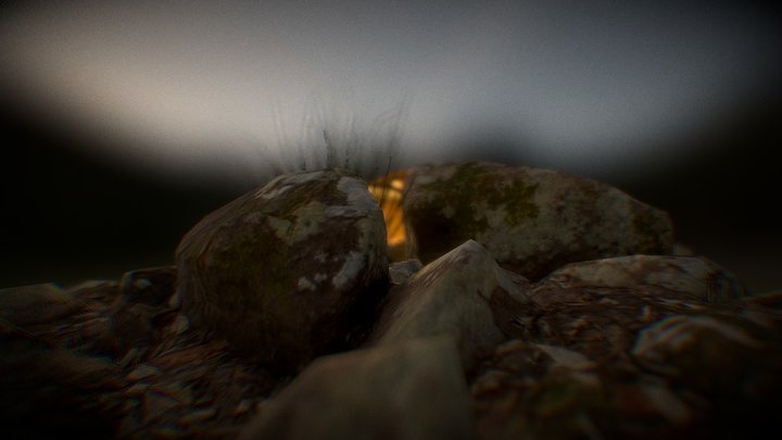 Magic Mushrooms 3D Model