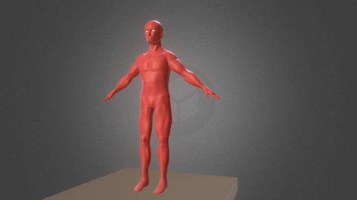 Body test 3D Model