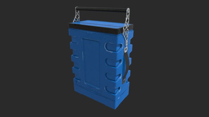 Q-case Maxi security case 3D Model