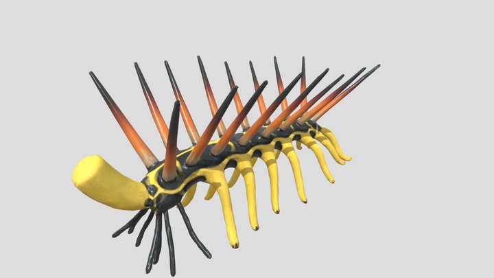 hallucigenia sparsa