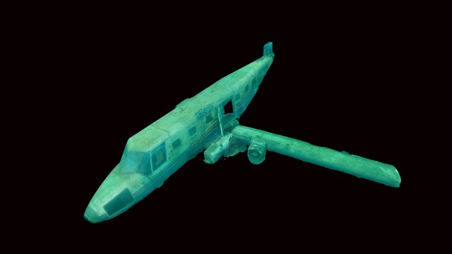 Sunken Plane 3D Model