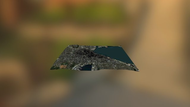Seattle Bounce 3D Model