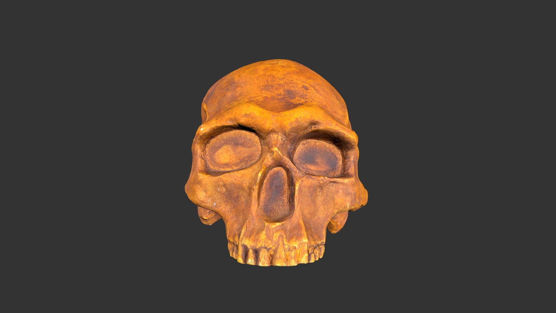 Homo sapiens (Predmost 3) (1979rp47-2) - cranium