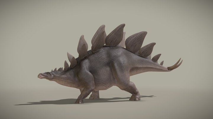 Stegosaurus Stenops 3D Model