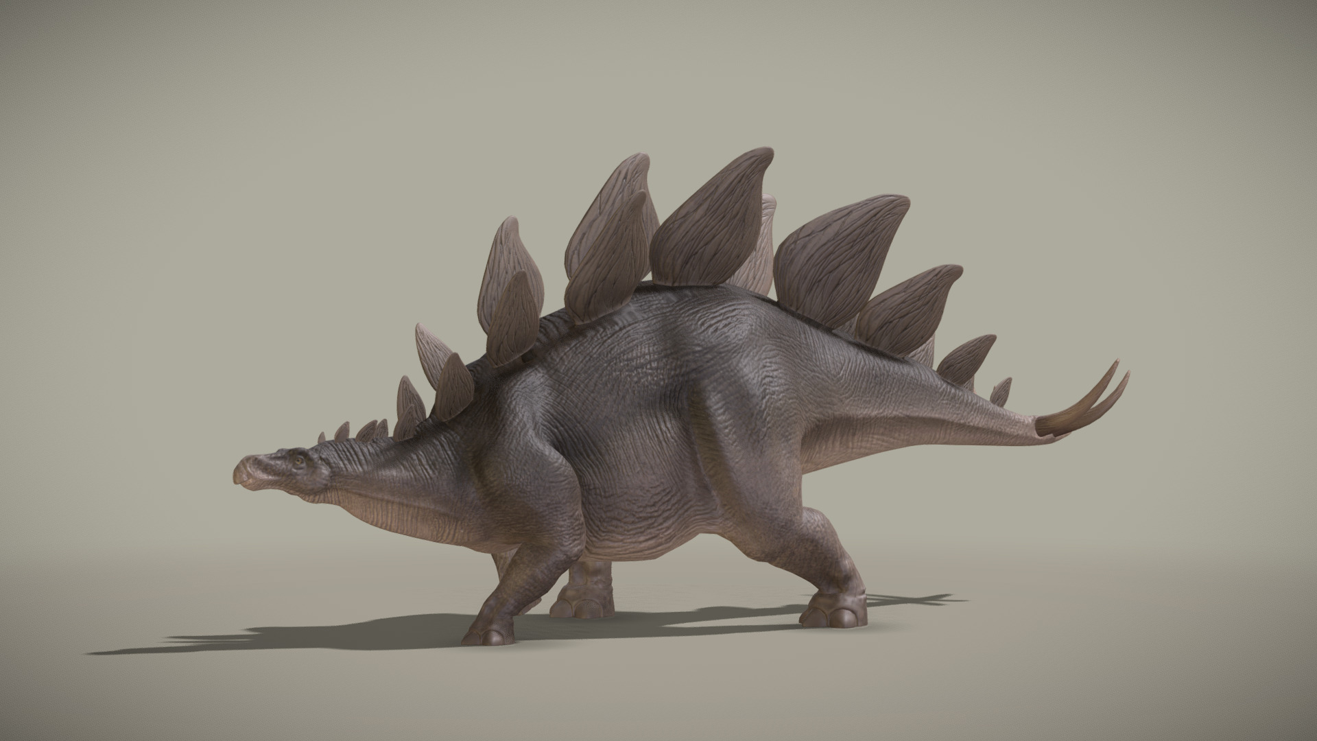 3D model Stegosaurus Stenops - This is a 3D model of the Stegosaurus Stenops. The 3D model is about a toy dinosaur with wings.