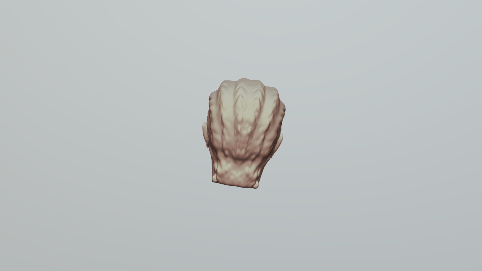 Female Head With Braids Base