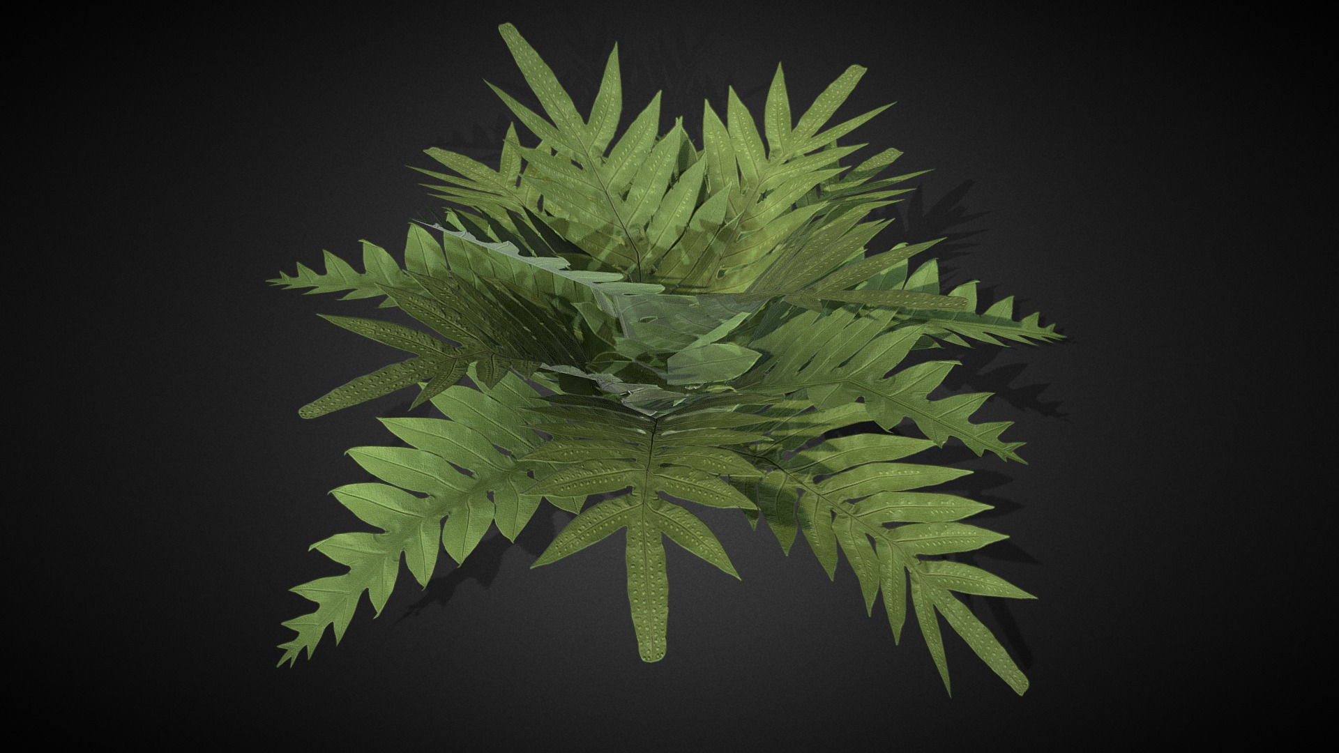 3D model Fern 001a - This is a 3D model of the Fern 001a. The 3D model is about a close up of a plant.