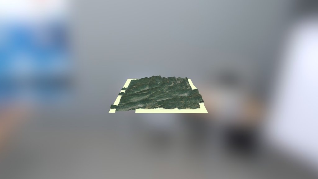 DehongModel—13
