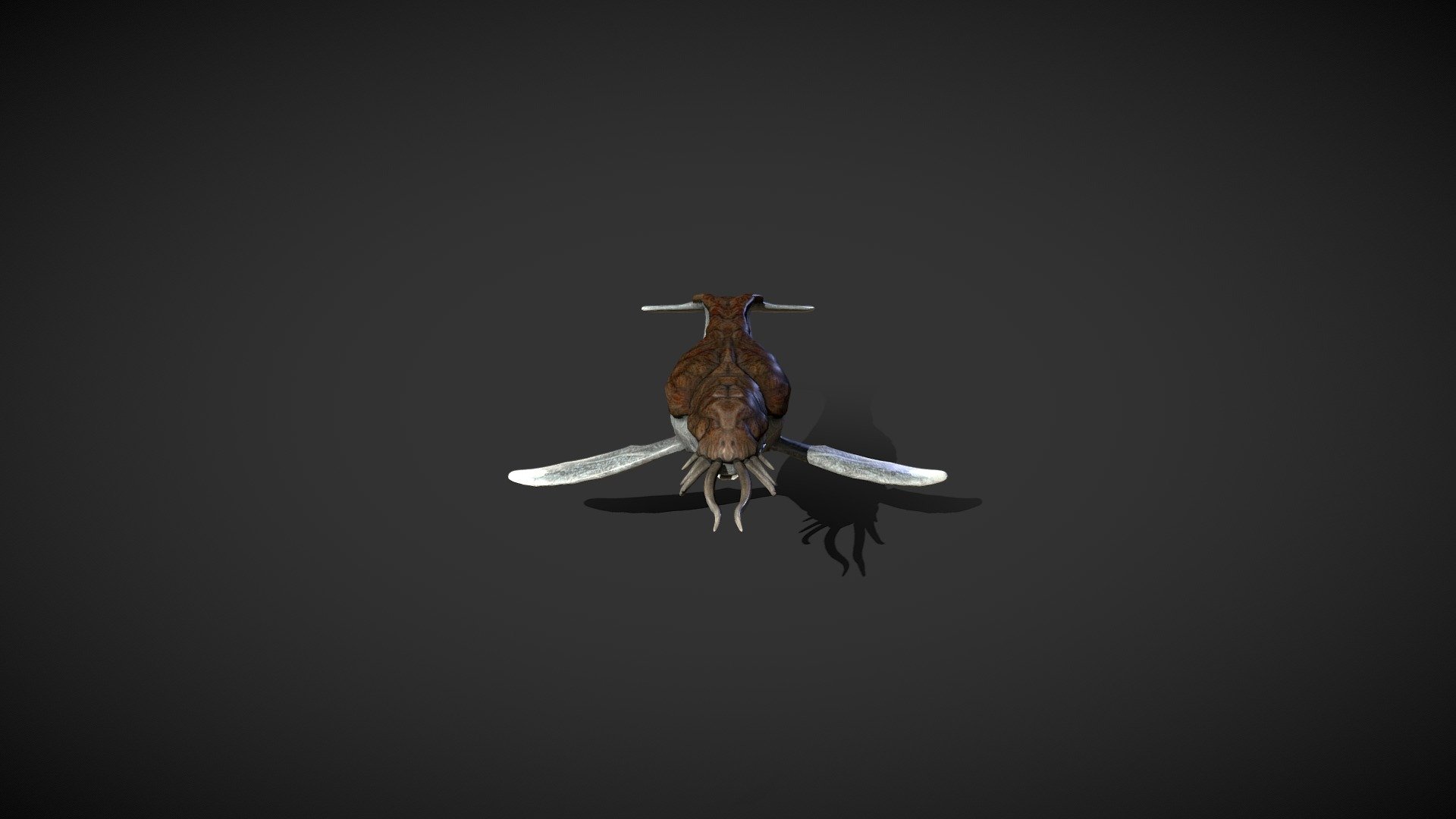 Tusked Space Whale - 3D model by hunchakabunkis [6e9f534] - Sketchfab