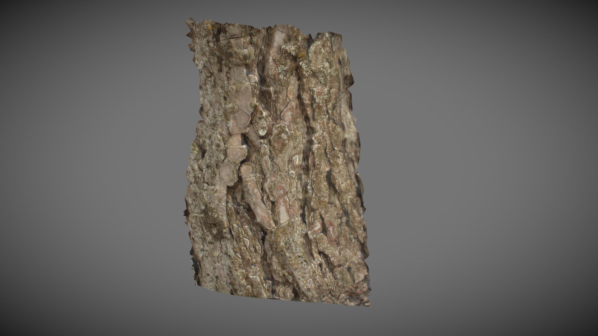 Pine Bark Patch - Download Free 3D model by MamieTysane [6ea3f43 ...