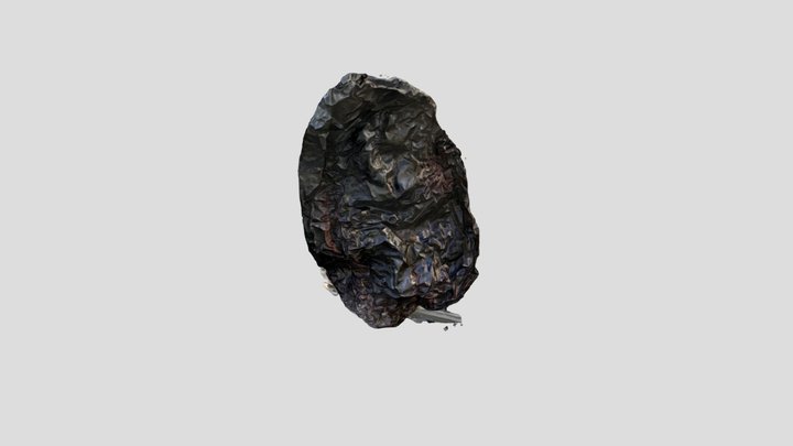 ancho-5 3D Model