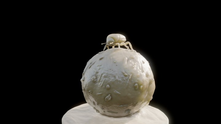Dung 3D Model