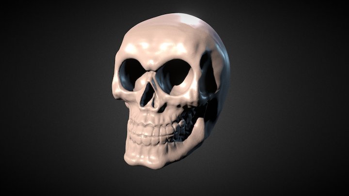 Murray 3D Model