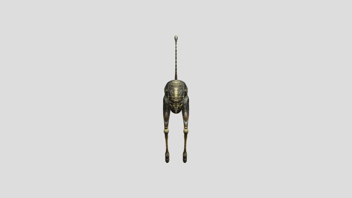 Shtraus 3D Model